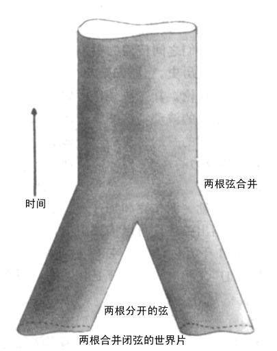 玄理論|弦理论（理论物理的一个分支学科）